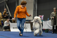 CACIB2-11