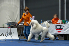 CACIB2-13